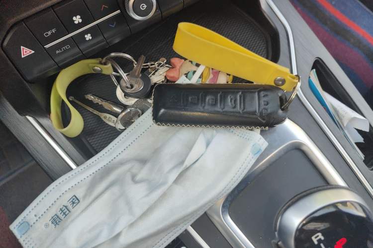 Used Wey VV6 2021 2.0T Two-Wheel Drive Smart Protection+ Vehicle Key