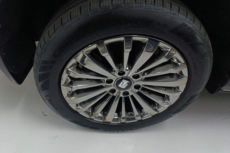 Used Tank 500 New Energy 2023 Hi4-T Exterior 5