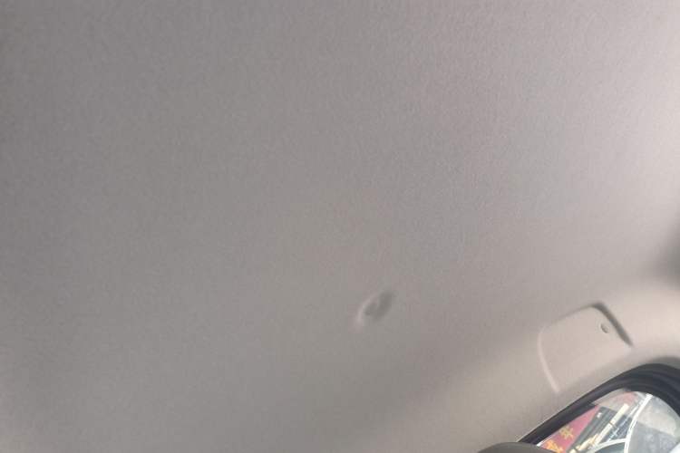 Used ORA Black Cat 2021 301km Cute Pet Edition Headliner