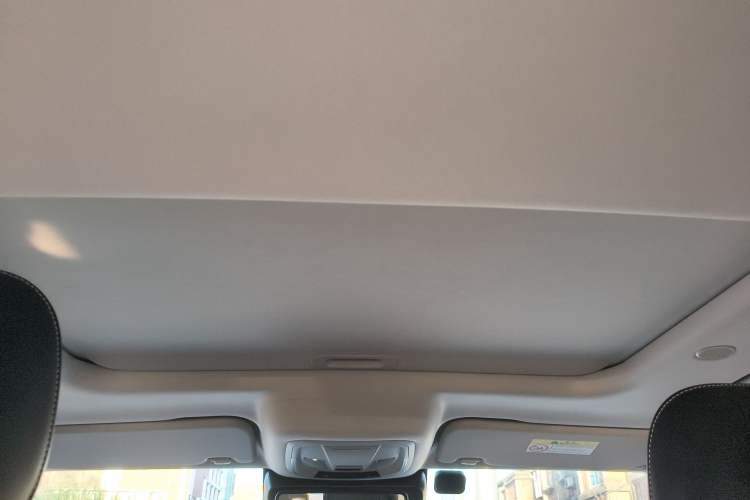 Used Tank 300 2023 City Edition 2.0T—Stylish as Ever Headliner