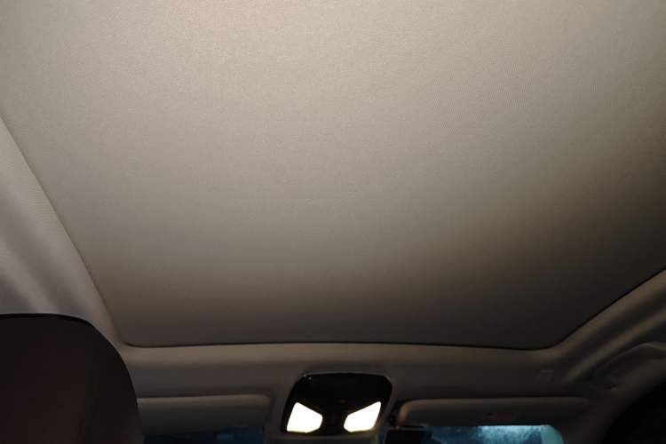 Used BMW X3 2020 xDrive28i Luxury Package Headliner