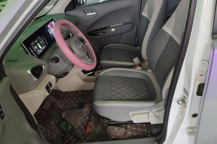 Used ORA White Cat 2020 401 km Flagship Version
