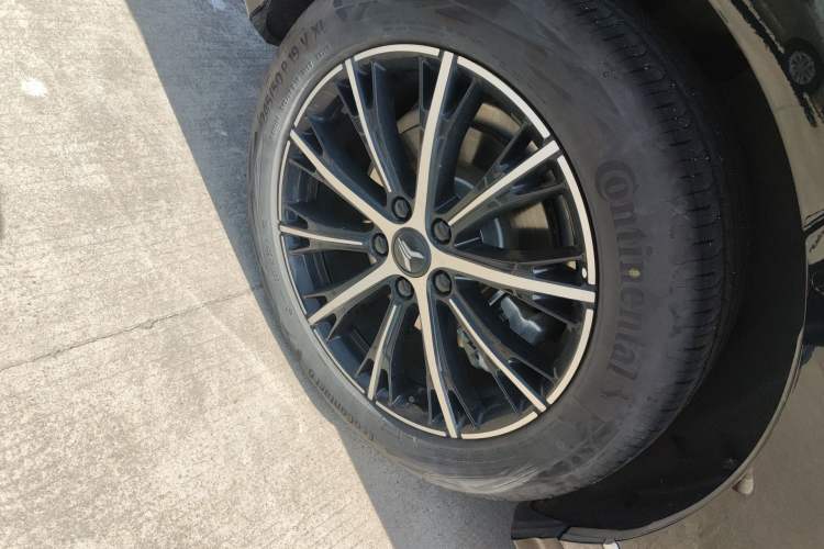 Used VOYAH PASSION 2024 PHEV Four-Wheel Drive Ultra-Long Range Executive Edition Exterior 5