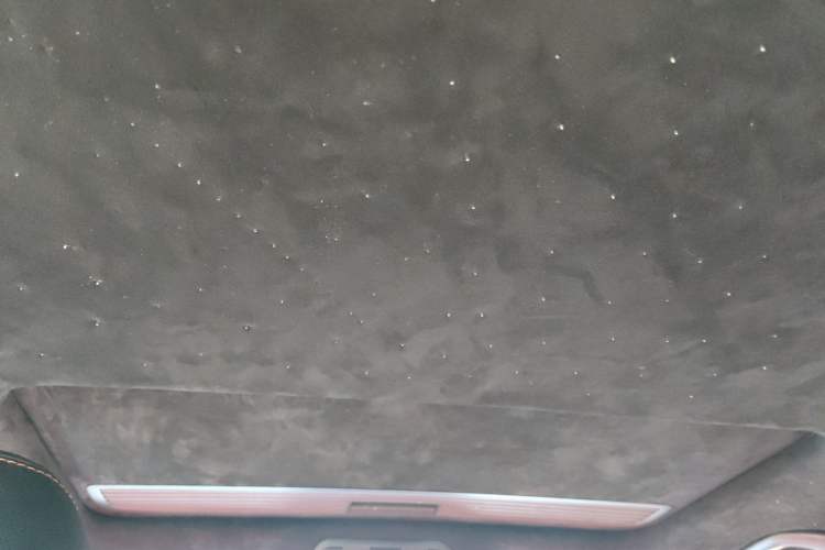 Used Volkswagen Magotan 2015 1.8TSI Advanced Model Headliner