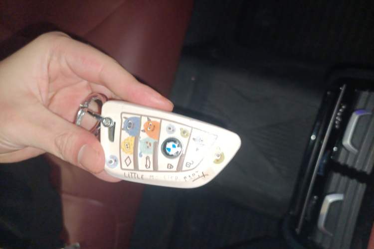 Used BMW 5 Series 2019 530Li Leading Model M Sport Package Vehicle Key