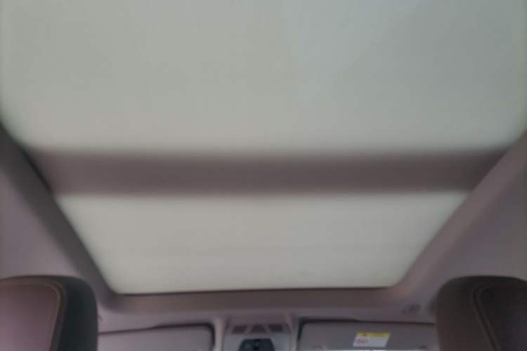 Used BMW X1 2016 sDrive20Li Luxury Model Headliner