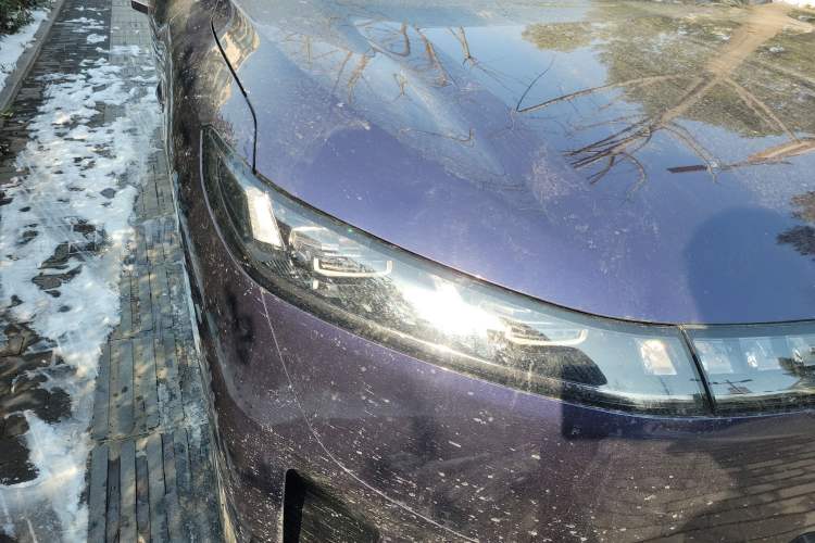 Used Dongfeng eπ eπ008 2024 636Max All-Electric Version 6 Seats
