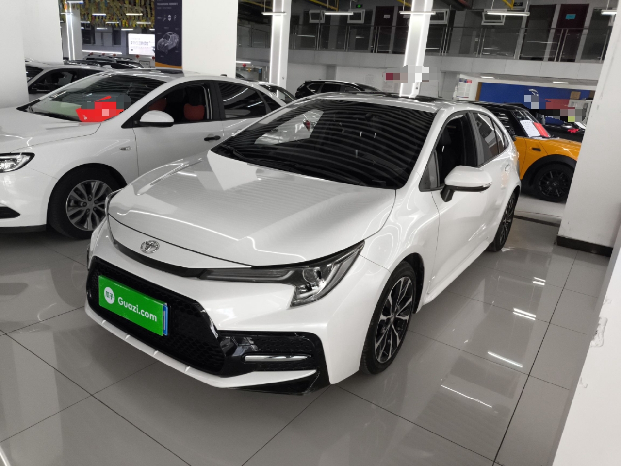 Parte inferior delantera