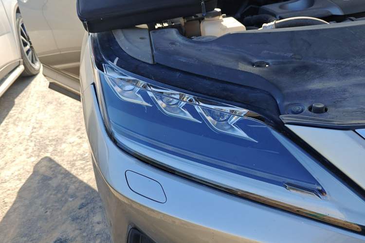 Used Lexus RX 2020 300 4x4 Elegant Edition China VI