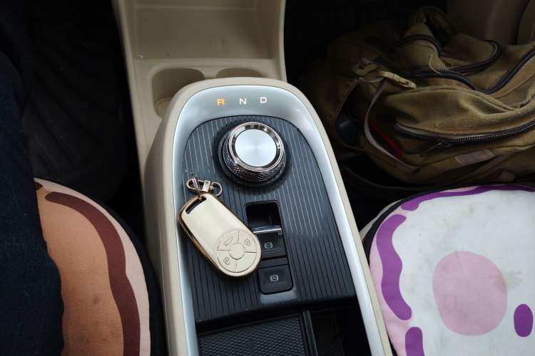 Used ORA Good Cat 2022 Morandi Edition 400km Standard Range Premium Version Lithium Iron Phosphate
