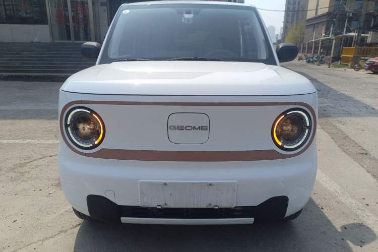 Used Geely Galaxy Panda 2024 Panda Mini 200km Endurance Bear
