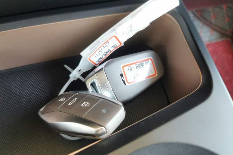 Used SOL E10X 2022 Flower Fairy Design Four-Leaf Clover