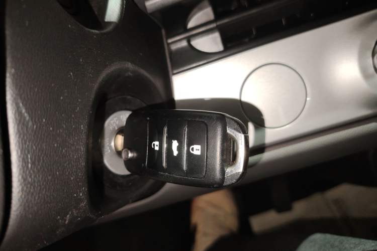 Used Qiyuan Lumin 2023 205km Xiangqin Version