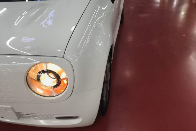 Used ORA Black Cat 2021 351 km Standard Version Left Front Headlight