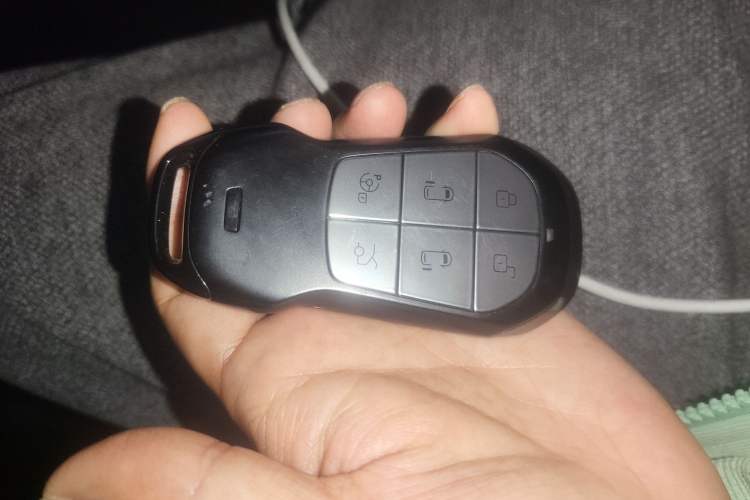 Used XPeng X9 2026 Model—Range-Extended Version 1602 Ultra
