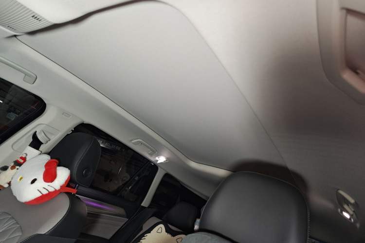 Used Volkswagen Tavendor 2024 380TSI All-Wheel-Drive R-Line Cruise Premium Edition Headliner