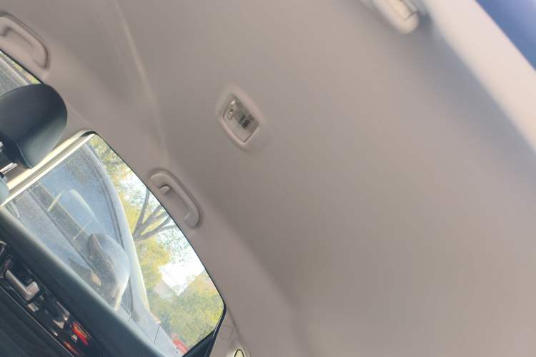 Used FORTHING S50 2021 Battery-Swapping Version
