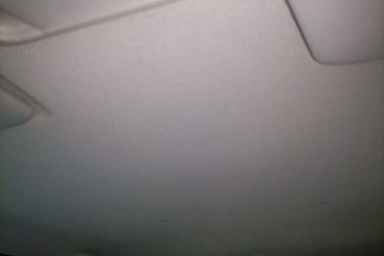 Used Wuling Hongguang MINIEV 2020 Freedom Version Lithium Iron Phosphate Headliner