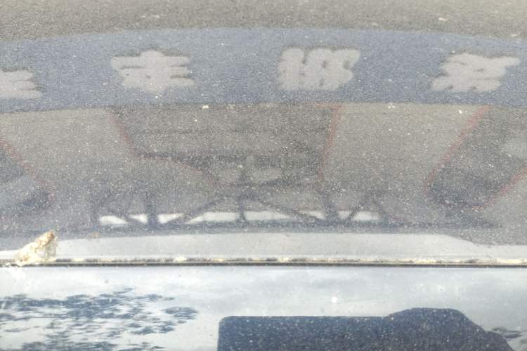 Used Leapmotor T03 2021 400 Lite Edition Lithium Iron Phosphate