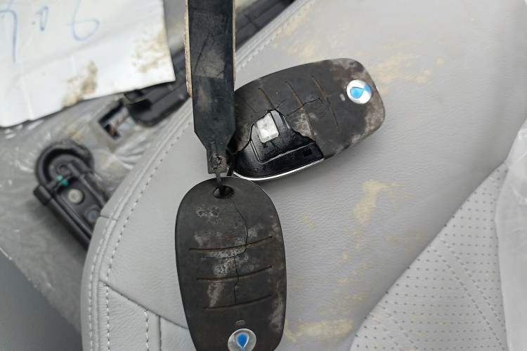 Used Denza Denza 2018 450 Base Version
