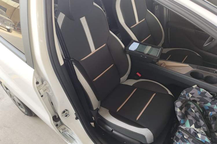 Used JAC Yiwei E10X 2024 Charming Edition 301km Lite