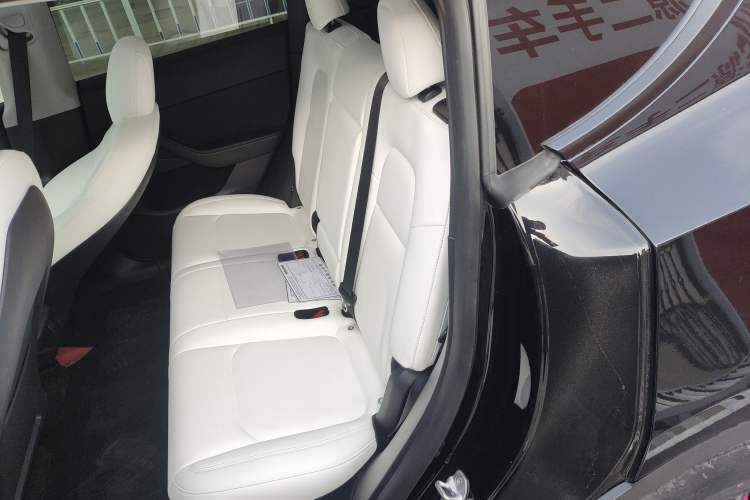 Used Tesla Model Y 2021 Standard Range Rear-Wheel Drive Version
