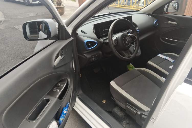 Used ORA White Cat 2020 305 km Luxury Version
