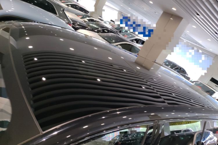 Used Li Auto L9 2024 Pro Model