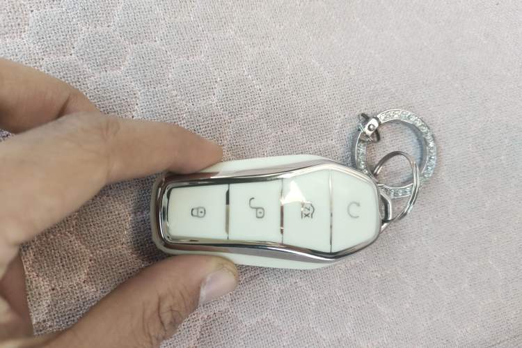 Used BYD Seagull 2025 305 km Free Version