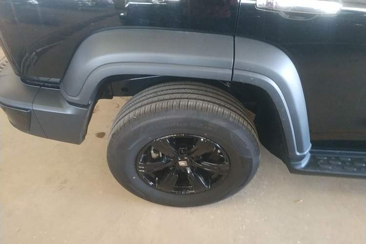 Used Tank 300 2024 2.0T Conqueror