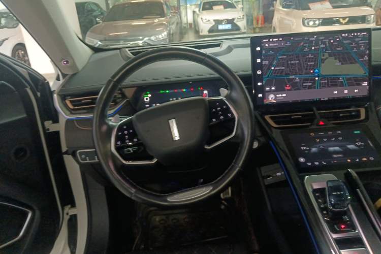 Used Wey Mocha 2021 2.0T Four-Wheel Drive Premium Edition
