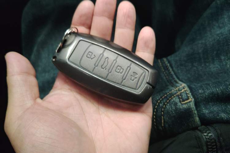 Used Haval DARGO 2022 1.5T DCT Two-Wheel Drive Labrador Edition