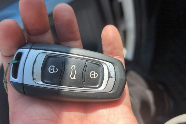 Used Geely Galaxy Panda 2023 Panda Mini New Year Edition Treasure Bear
