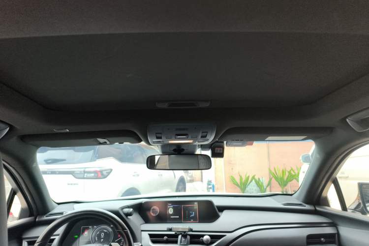 Used Lexus UX New Energy 2020 300e Pure·Joy Edition