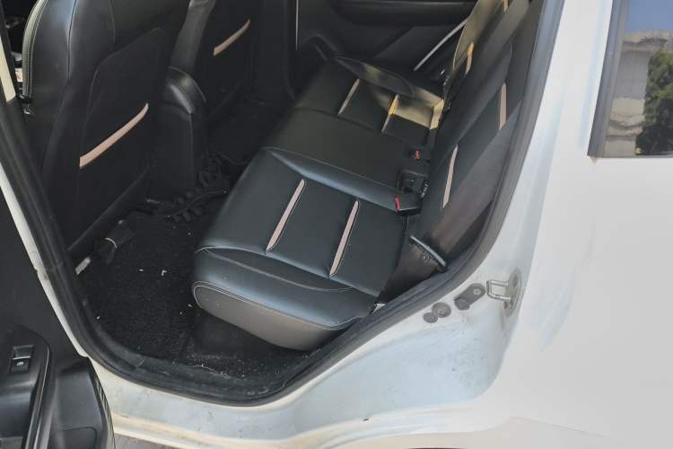 Used SOL E10X 2022 Flower Fairy Design Sunflower
