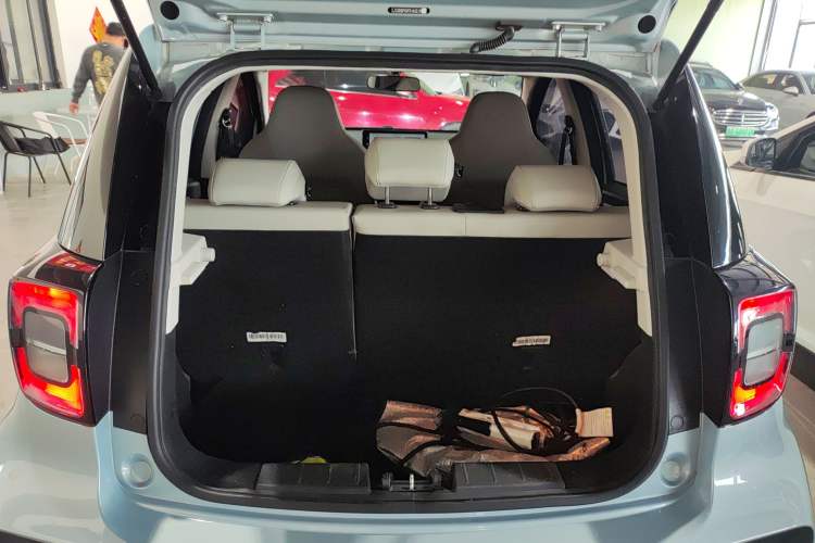 Used SOL E10X 2022 Flower Fairy Style Baby's Breath