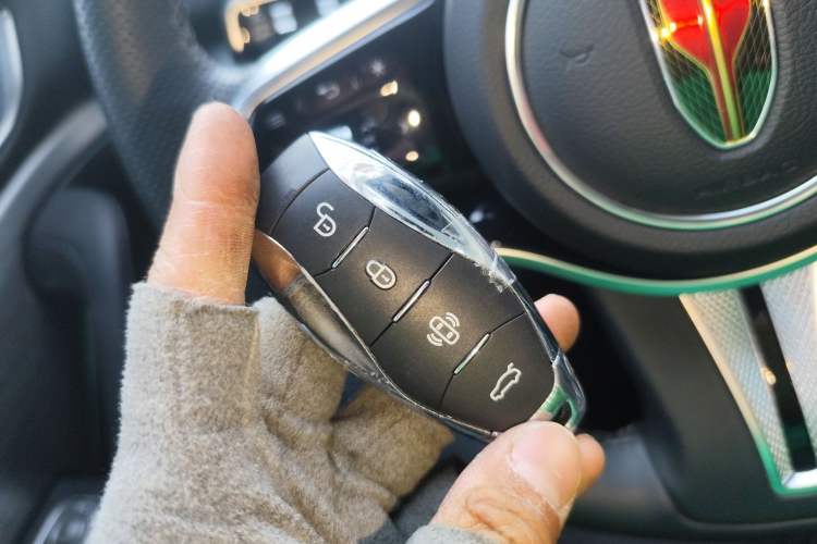 Used Hongqi HS7 PHEV 2024 2.0T PHEV Four-Wheel Drive Flagship Edition 6 Seats