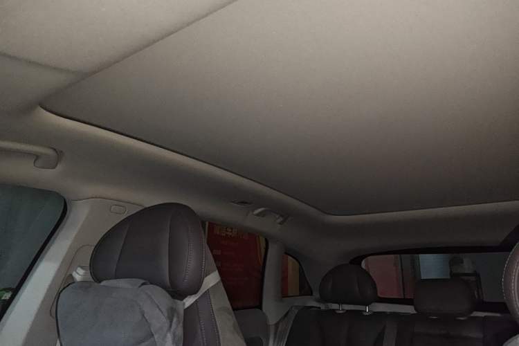 Used Leapmotor C11 2021 Luxury Edition