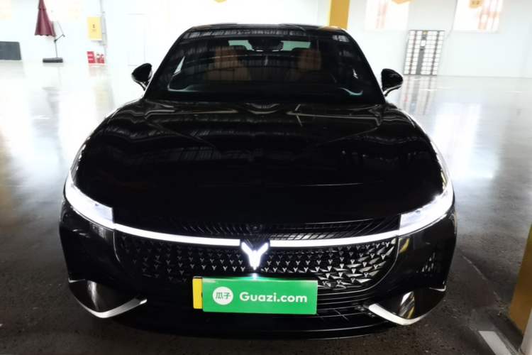 Used VOYAH PASSION 2024 PHEV Four-Wheel Drive Ultra-Long Range Flagship Model