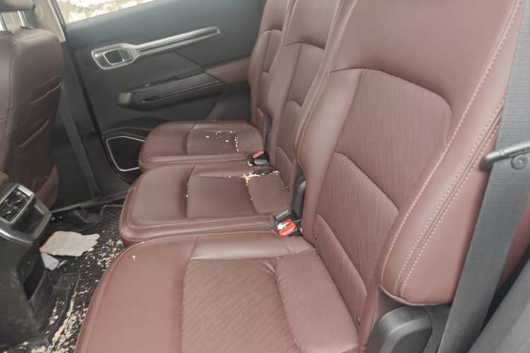 Used Geely Auto Haoyue 2022 1.8TD DCT Luxury 7-Seater Left Rear Seat