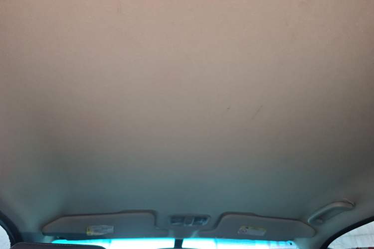 Used Great Wall Wingle 5 2021 2.0T Diesel Two-Wheel Drive Elite Version with Long Cargo Bed China VI Emission Standard GW4D20M Headliner