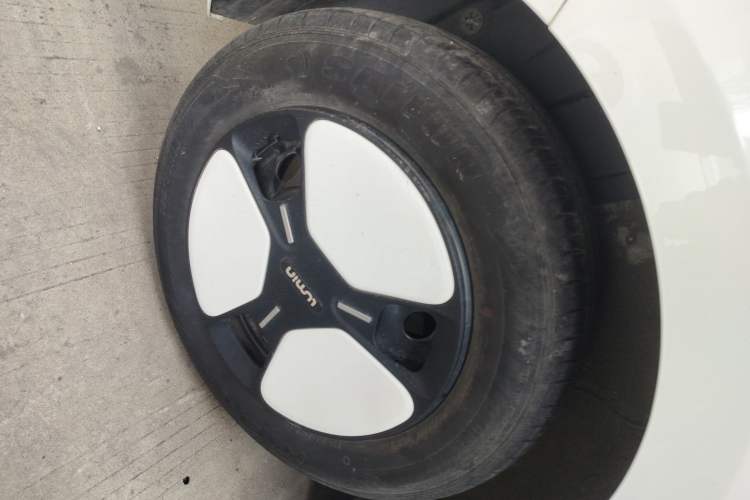 Used Qiyuan Lumin 2023 205km Xiangqin Version