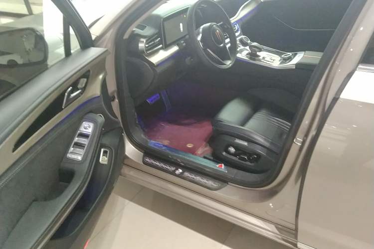 Used Hongqi H9 2020 2.0T Smart Connect Flagship Edition