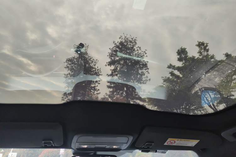 Used Ford Mustang Mach-E 2021 GT Model Headliner