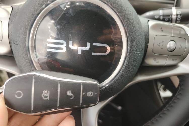 Used BYD Dolphin 2025 420km Free Edition
