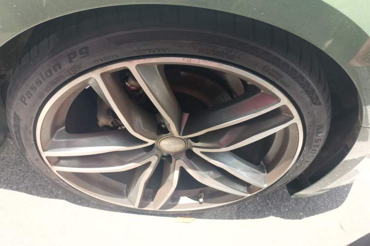 Used Audi A5 2022 Coupe 40 TFSI Fashion Dynamic Model
