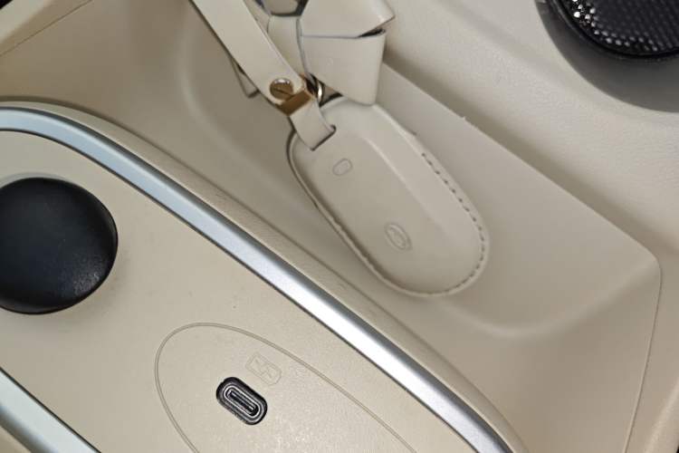 Used ORA Good Cat 2024 401 km Luxury Version