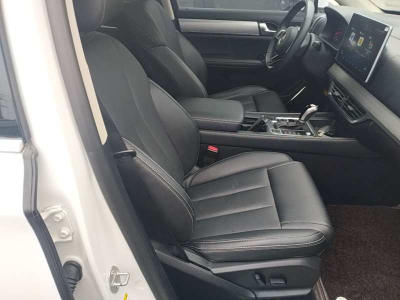 Used BYD Tang 2018 2.0T Automatic Smart Connect Prestige 7-Seater China V Standard — 24