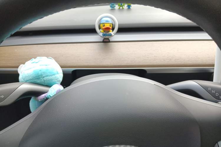 Used Tesla Model Y 2021 Long-Range All-Wheel-Drive Version