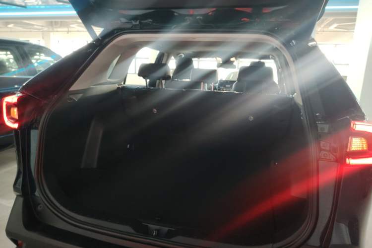 Used Toyota Wildlander 2020 2.0L CVT Four-Wheel Drive Premium Edition Trunk